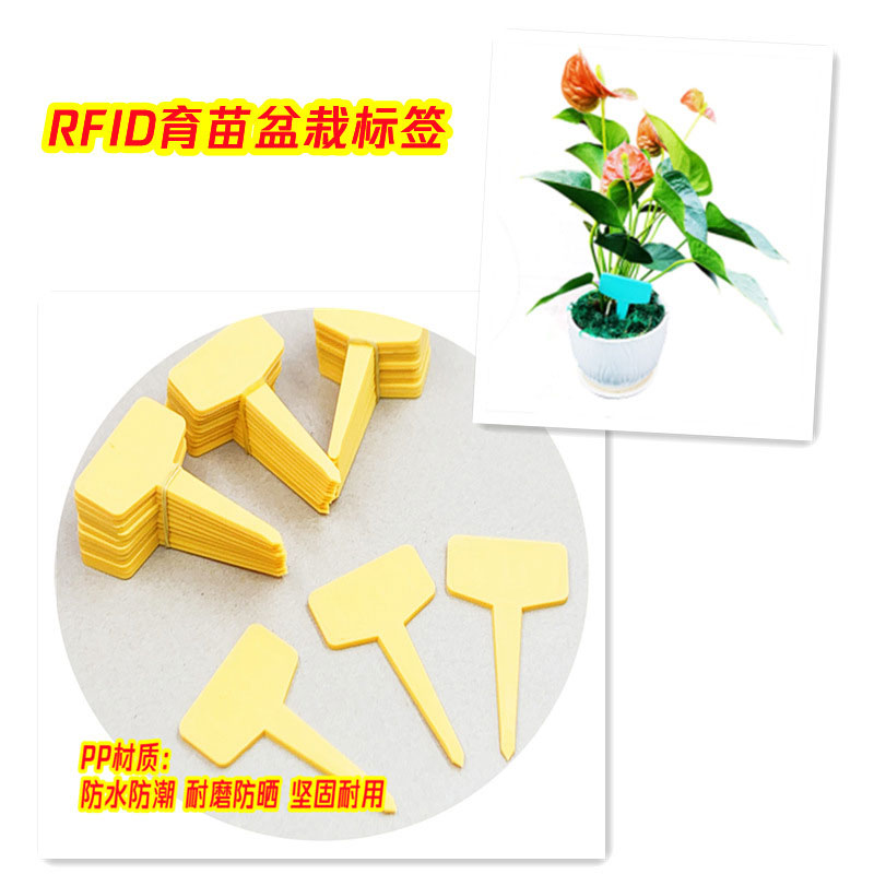PP material UHF 18000-6C long-distance identifying potted green plant seedling management RFID electronic tag 5