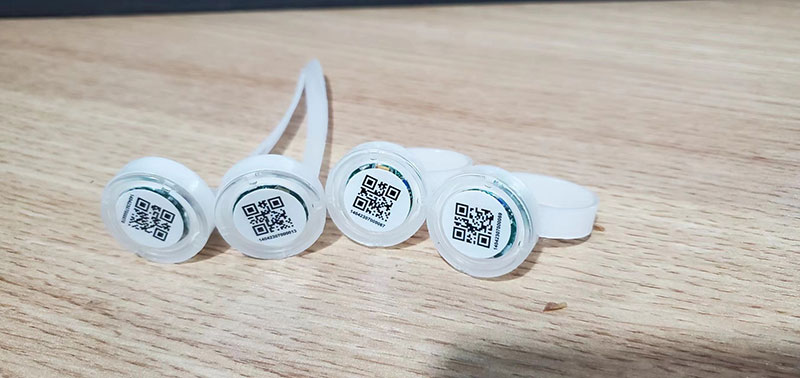 Браслет для подсчета шагов бегущей курицы RFID, браслет для подсчета шагов идущей курицы RFID, браслет для подсчета шагов голубя RFID, браслет для подсчета шагов 2.4G RFID 3